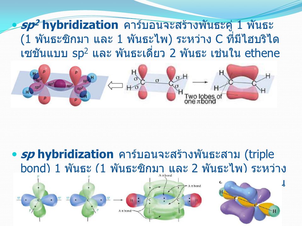 sp2 hybridization คาร์บอนจะสร้างพันธะคู่ 1 พันธะ (1 พันธะซิกมา และ 1 พันธะไพ) ระหว่าง C ที่มีไฮบริไดเซชันแบบ sp2 และ พันธะเดี่ยว 2 พันธะ เช่นใน ethene