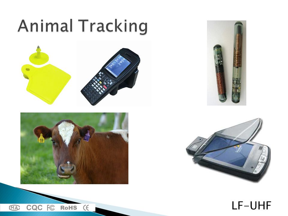 Animal Tracking LF-UHF