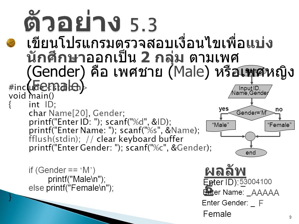 ตัวอย่าง 5.3 เขียนโปรแกรมตรวจสอบเงื่อนไขเพื่อแบ่งนักศึกษาออกเป็น 2 กลุ่ม ตามเพศ (Gender) คือ เพศชาย (Male) หรือเพศหญิง (Female)