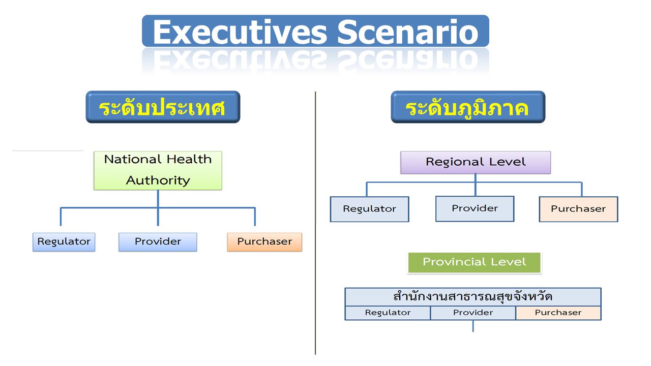 Executives Scenario ระดับประเทศ ระดับภูมิภาค