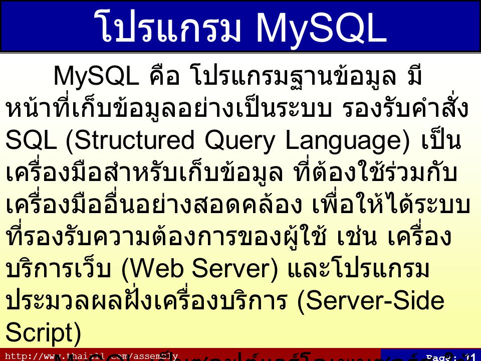 โปรแกรม MySQL