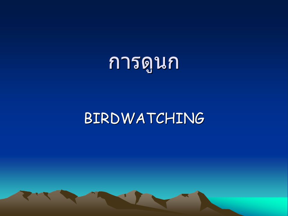 การดูนก BIRDWATCHING