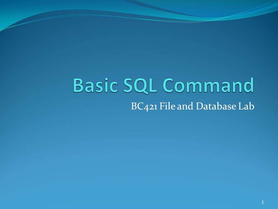 BC421 File and Database Lab