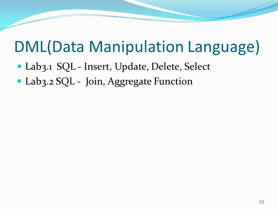 DML(Data Manipulation Language)