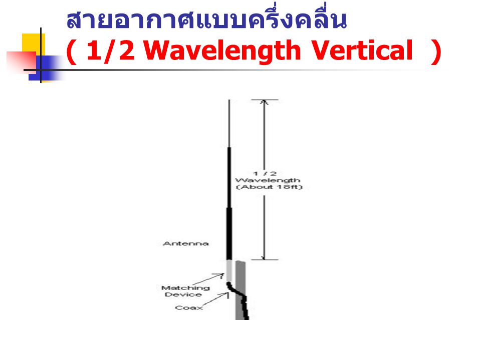 สายอากาศแบบครึ่งคลื่น ( 1/2 Wavelength Vertical )