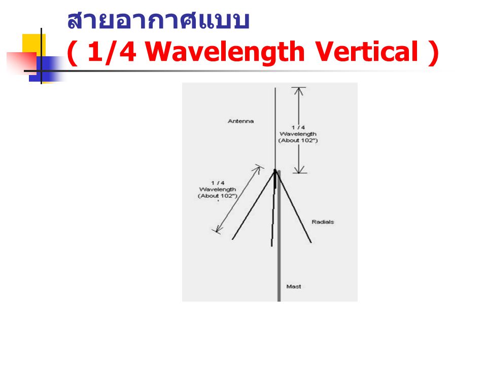 สายอากาศแบบ ( 1/4 Wavelength Vertical )