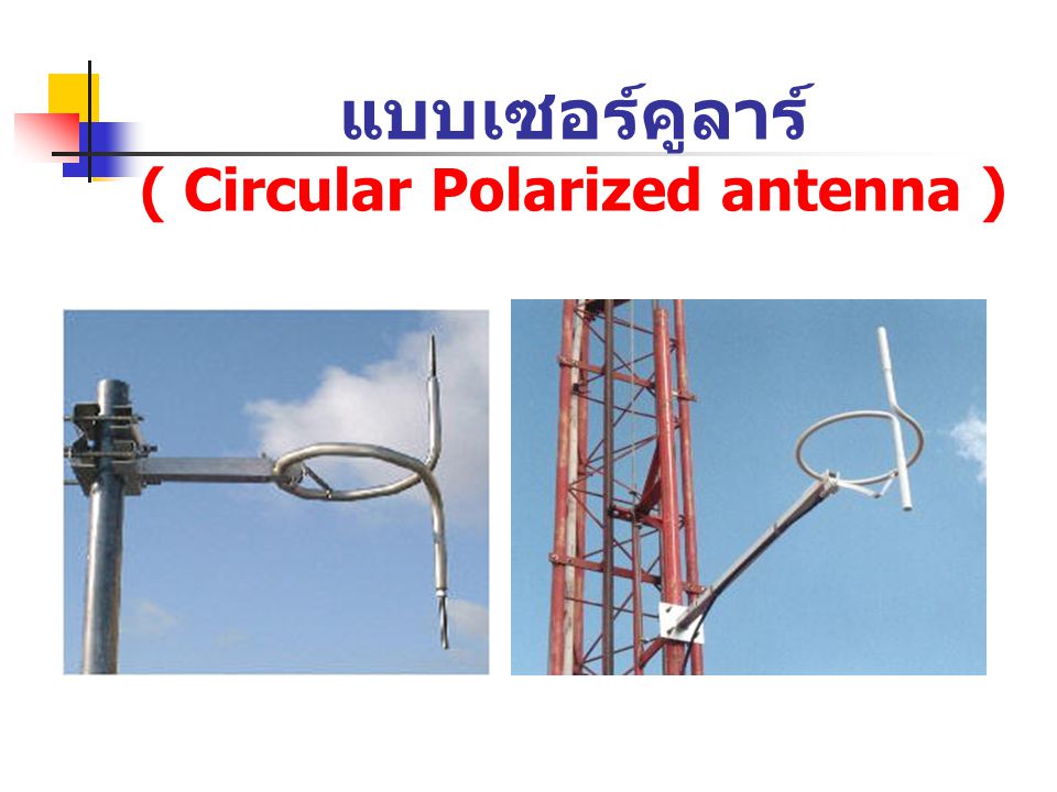 แบบเซอร์คูลาร์ ( Circular Polarized antenna )