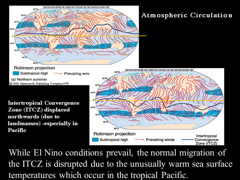 While El Nino conditions prevail, the normal migration of