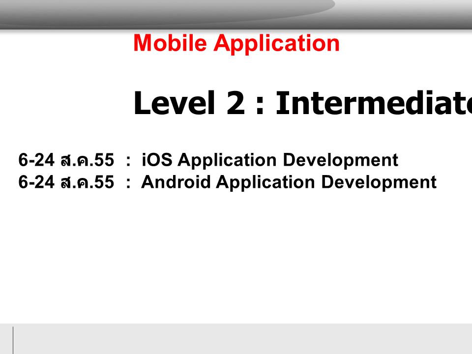 Level 2 : Intermediate Mobile Application