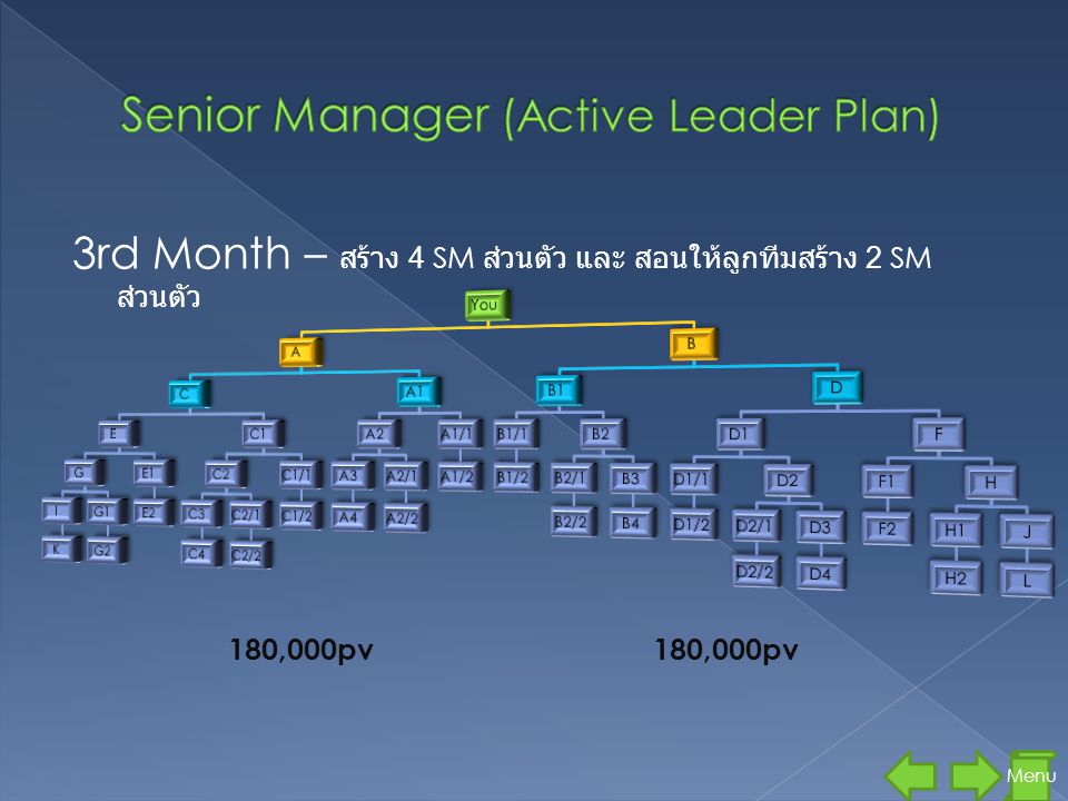 Senior Manager (Active Leader Plan)