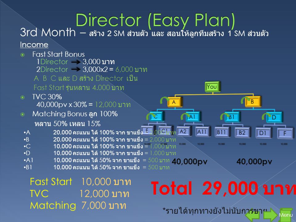 Total 29,000 บาท Director (Easy Plan)