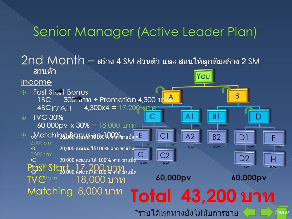 Senior Manager (Active Leader Plan)