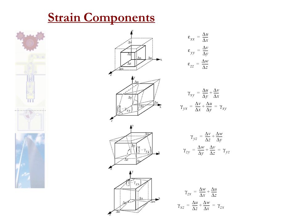 Strain Components