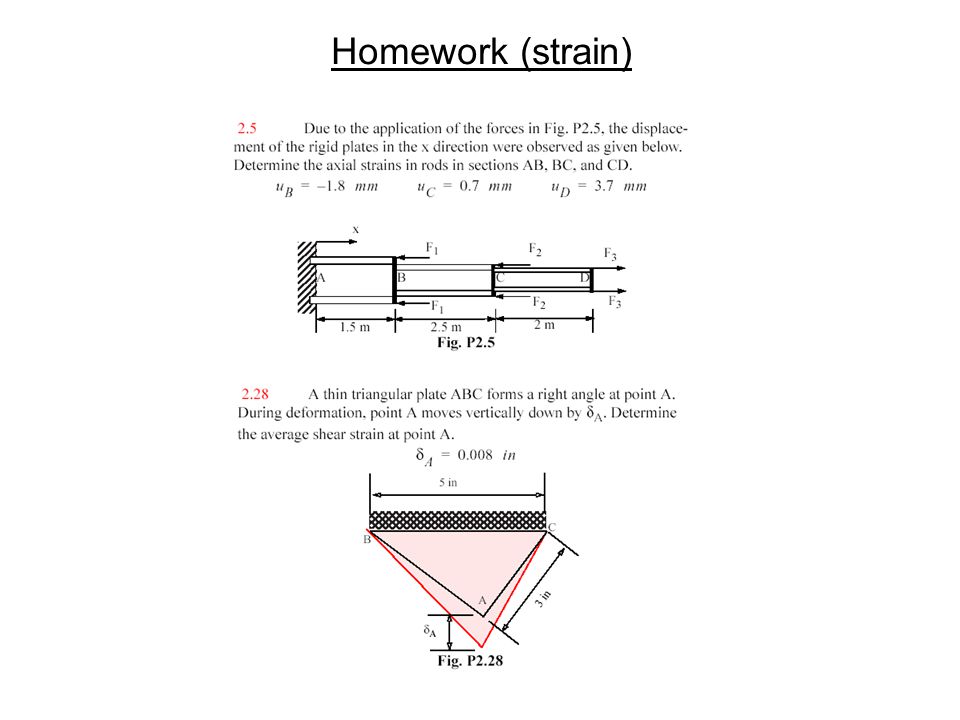 Homework (strain)