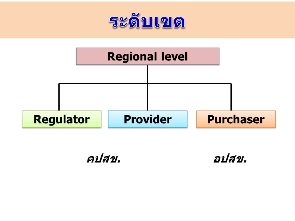 ระดับเขต Regional level Regulator Provider Purchaser คปสข. อปสข.