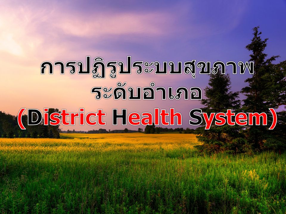 (District Health System)