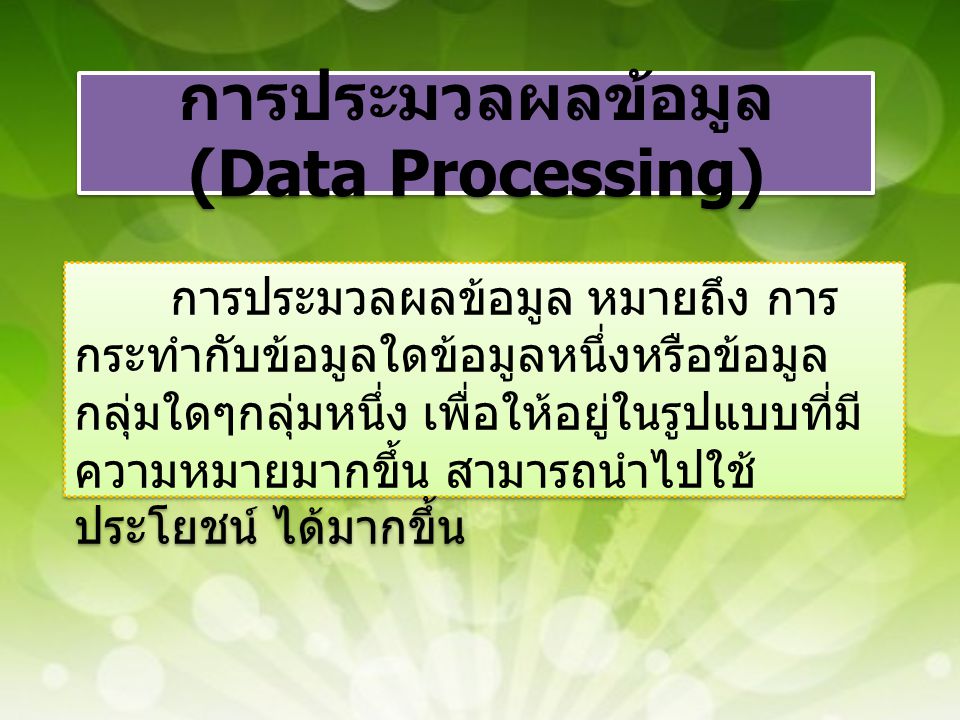 การประมวลผลข้อมูล (Data Processing)