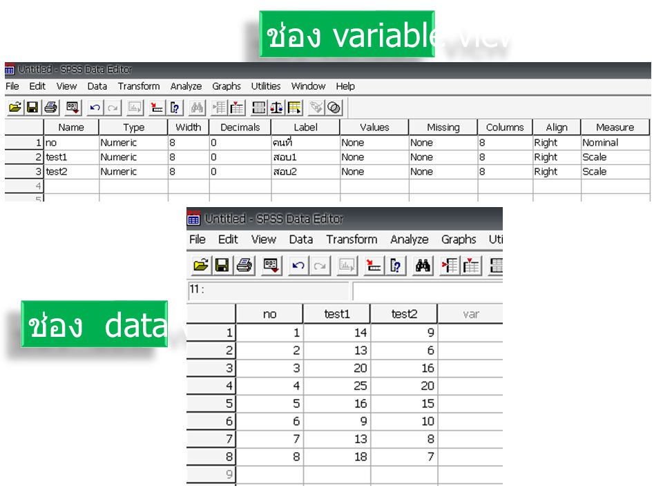 ช่อง variable view ช่อง data view