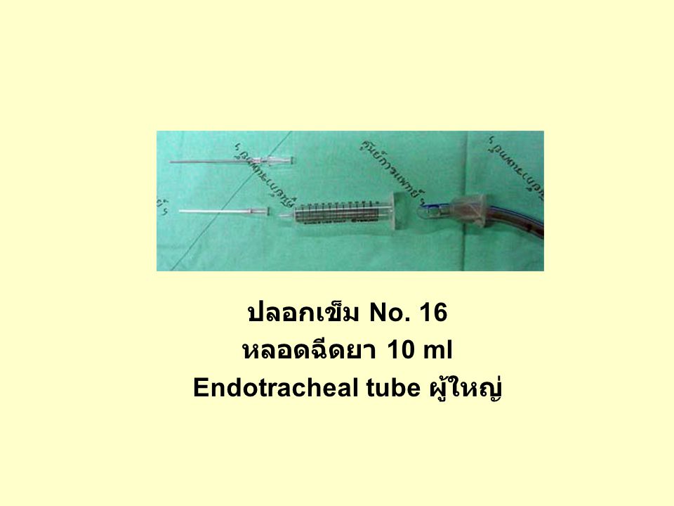 Endotracheal tube ผู้ใหญ่