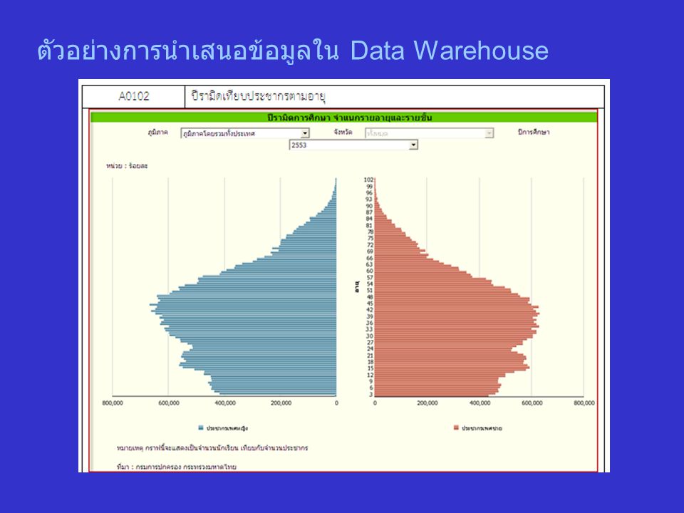 ตัวอย่างการนำเสนอข้อมูลใน Data Warehouse