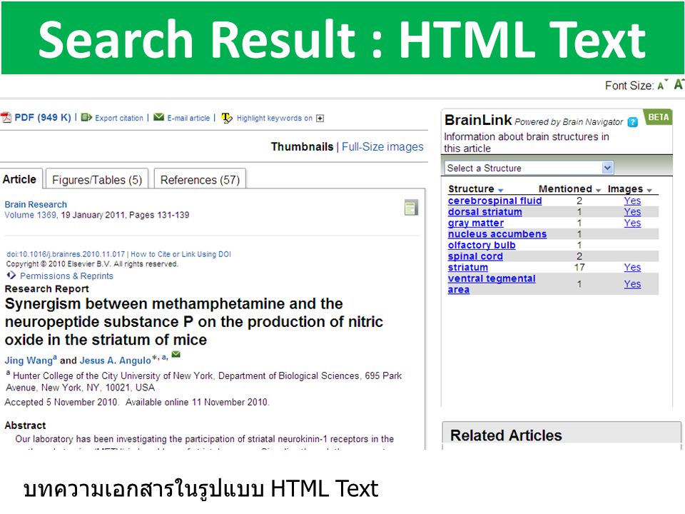 Search Result : HTML Text