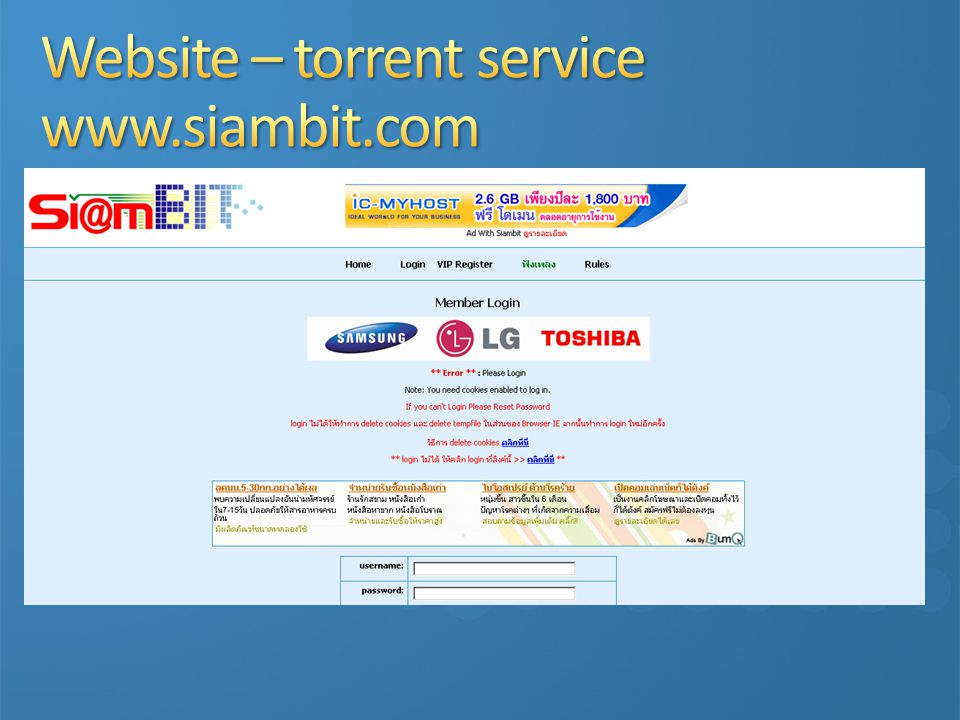 Website – torrent service
