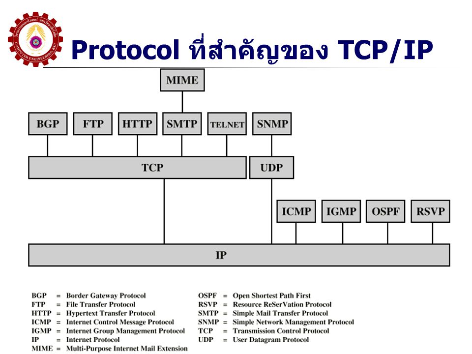 Protocol ที่สำคัญของ TCP/IP