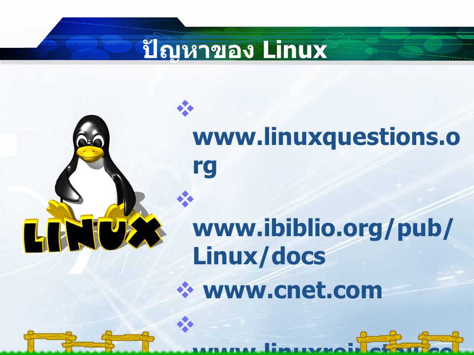ปัญหาของ Linux