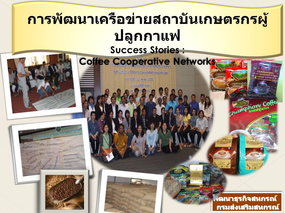 การพัฒนาเครือข่ายสถาบันเกษตรกรผู้ปลูกกาแฟ Coffee Cooperative Networks