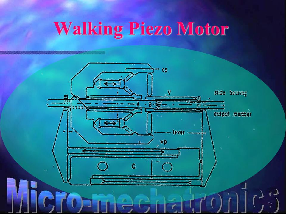 Walking Piezo Motor