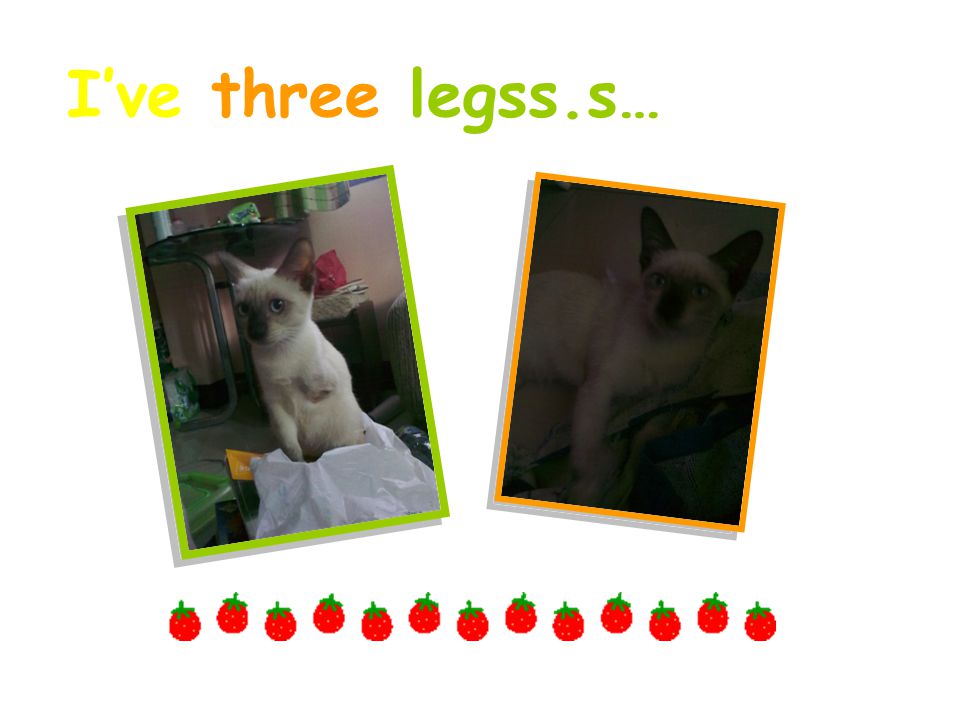 I’ve three legss.s…