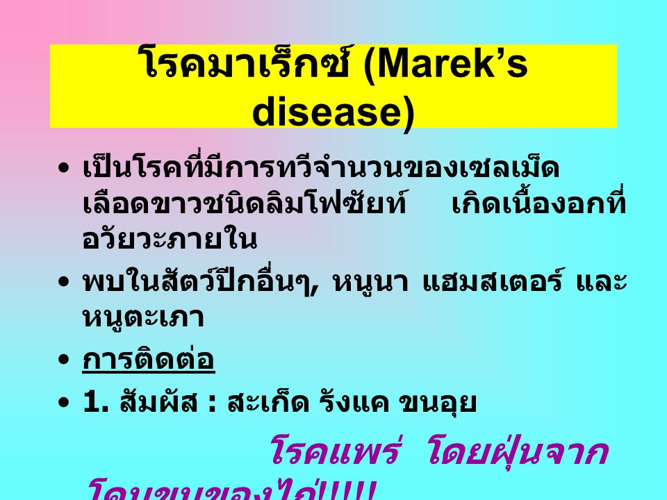 โรคมาเร็กซ์ (Marek’s disease)