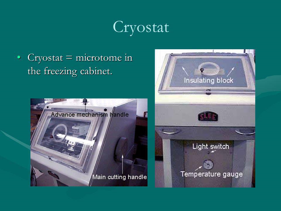 Cryostat Cryostat = microtome in the freezing cabinet.