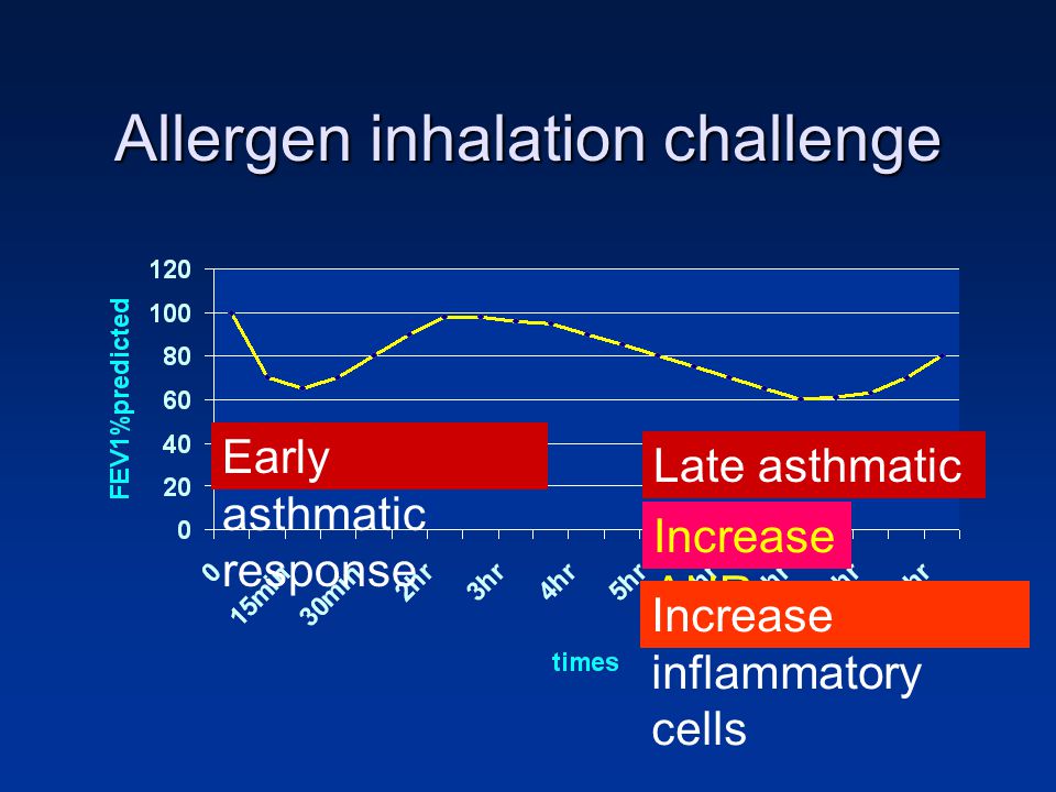 Allergen inhalation challenge