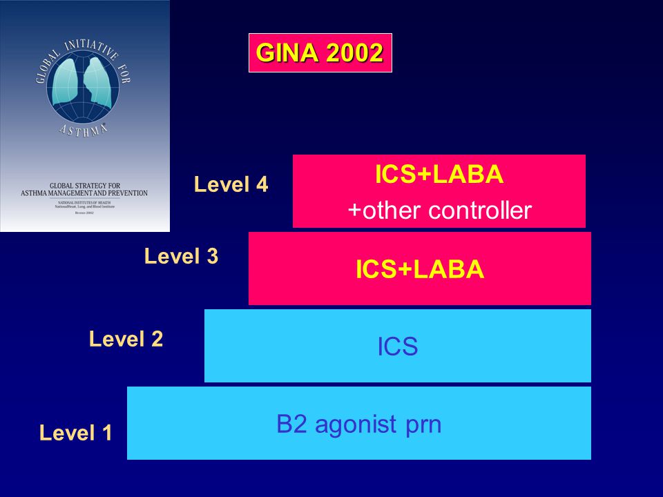 GINA 2002 GINA1995 High dose ICS +other controller ICS+LABA