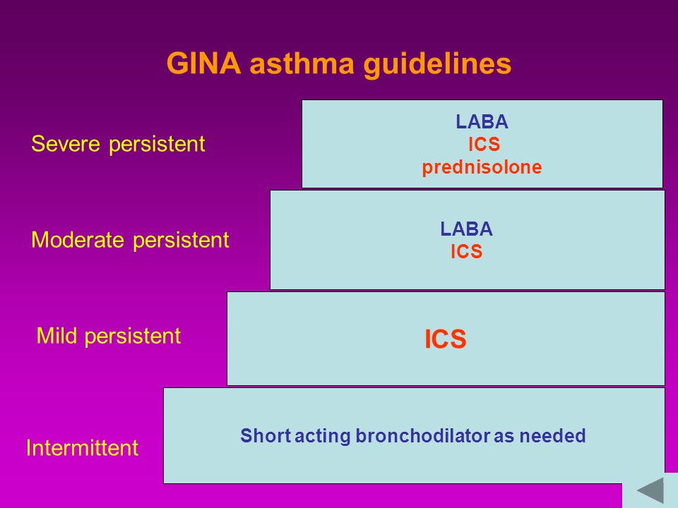 GINA asthma guidelines