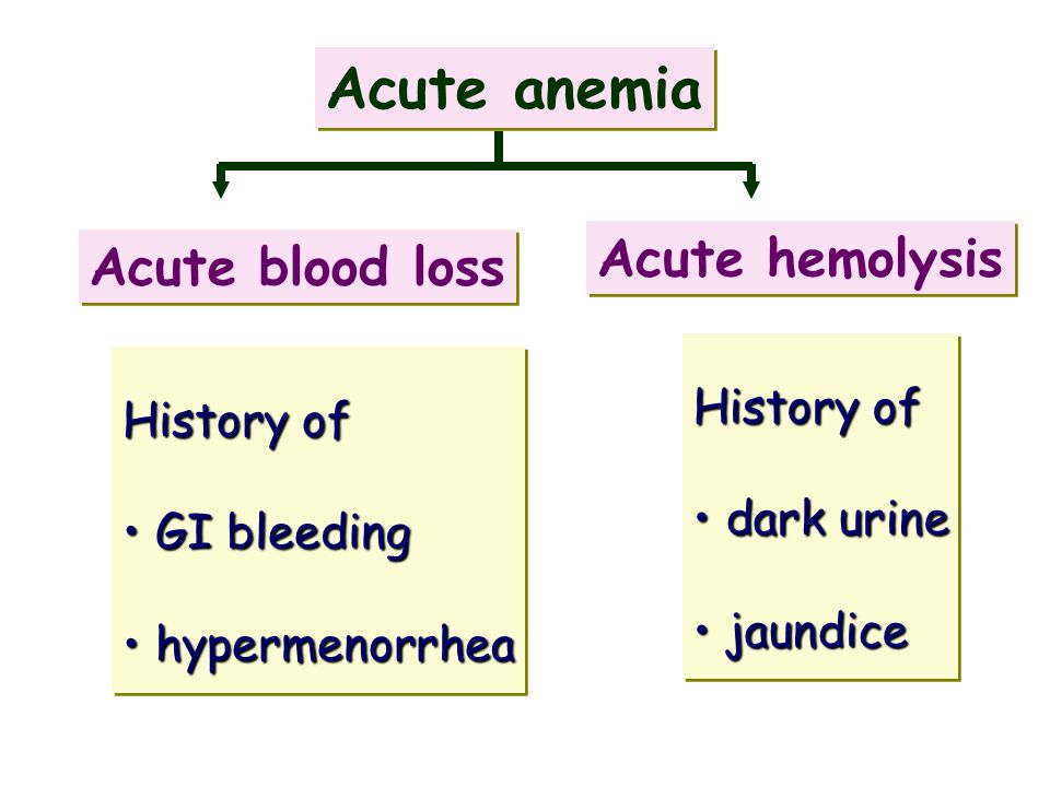 Acute anemia Acute hemolysis Acute blood loss History of History of