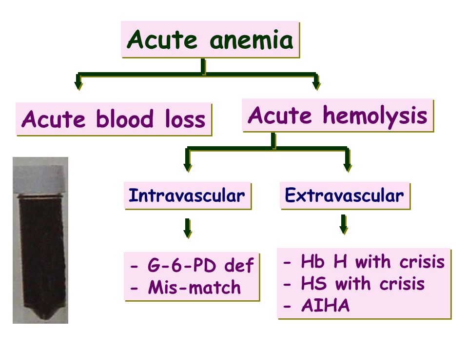 Acute anemia Acute hemolysis Acute blood loss Intravascular