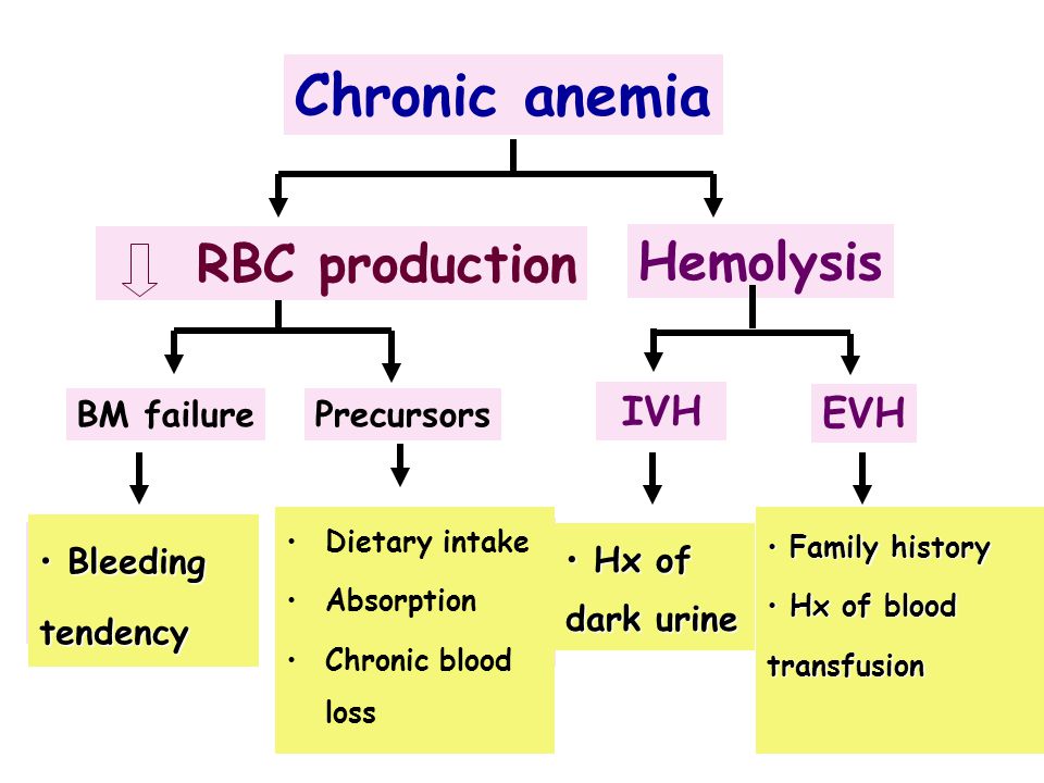 Chronic anemia RBC production Hemolysis Iron def. Thalassemia Myeloph.