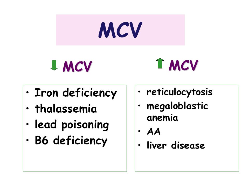 MCV MCV MCV Iron deficiency thalassemia lead poisoning B6 deficiency