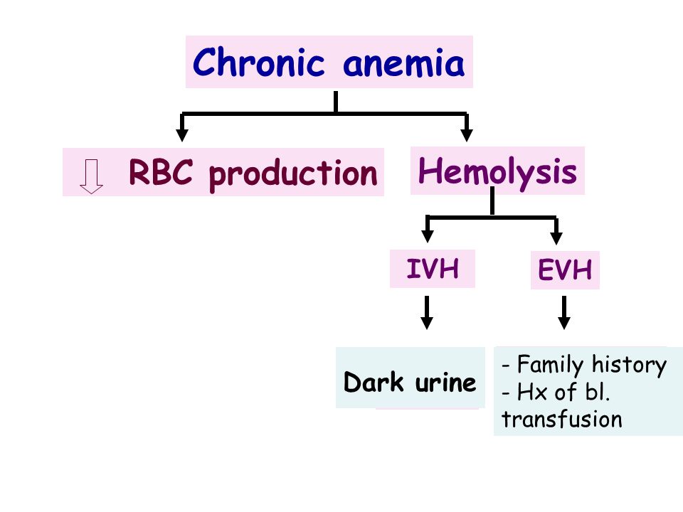 Chronic anemia RBC production Hemolysis Thalassemia IVH EVH Dark urine