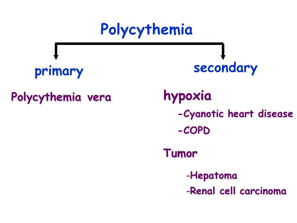 Polycythemia secondary primary hypoxia Polycythemia vera Tumor