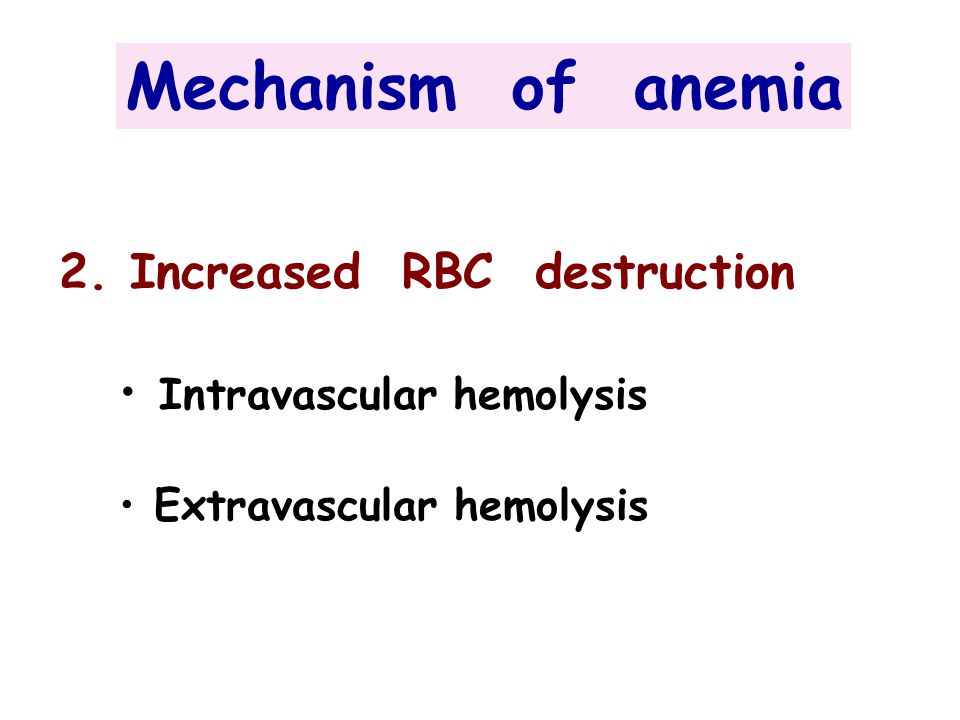 Mechanism of anemia 2. Increased RBC destruction