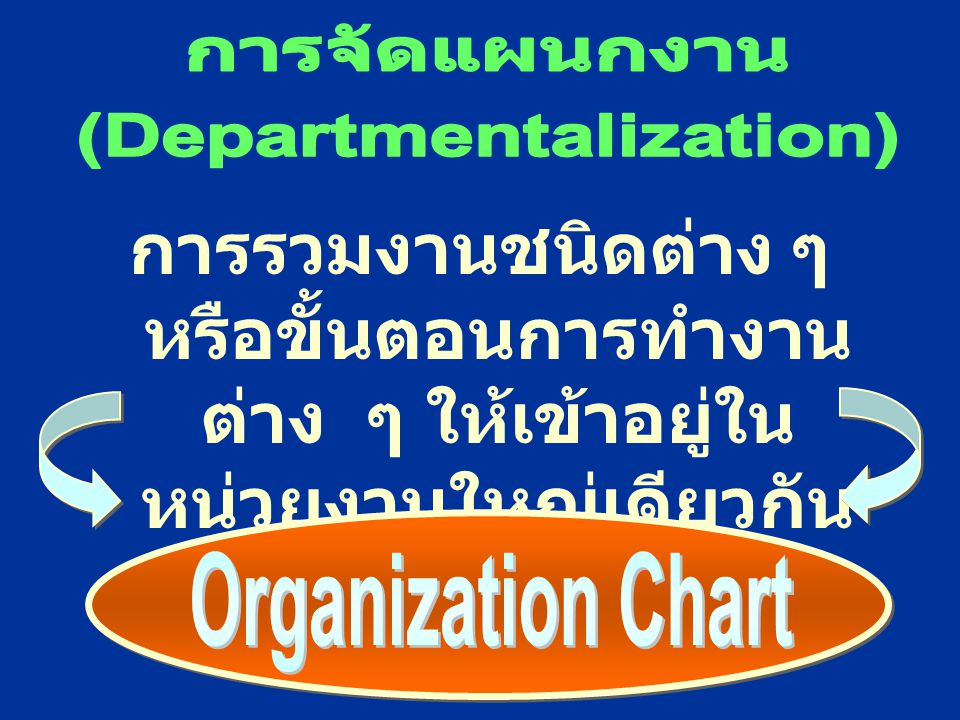 (Departmentalization)