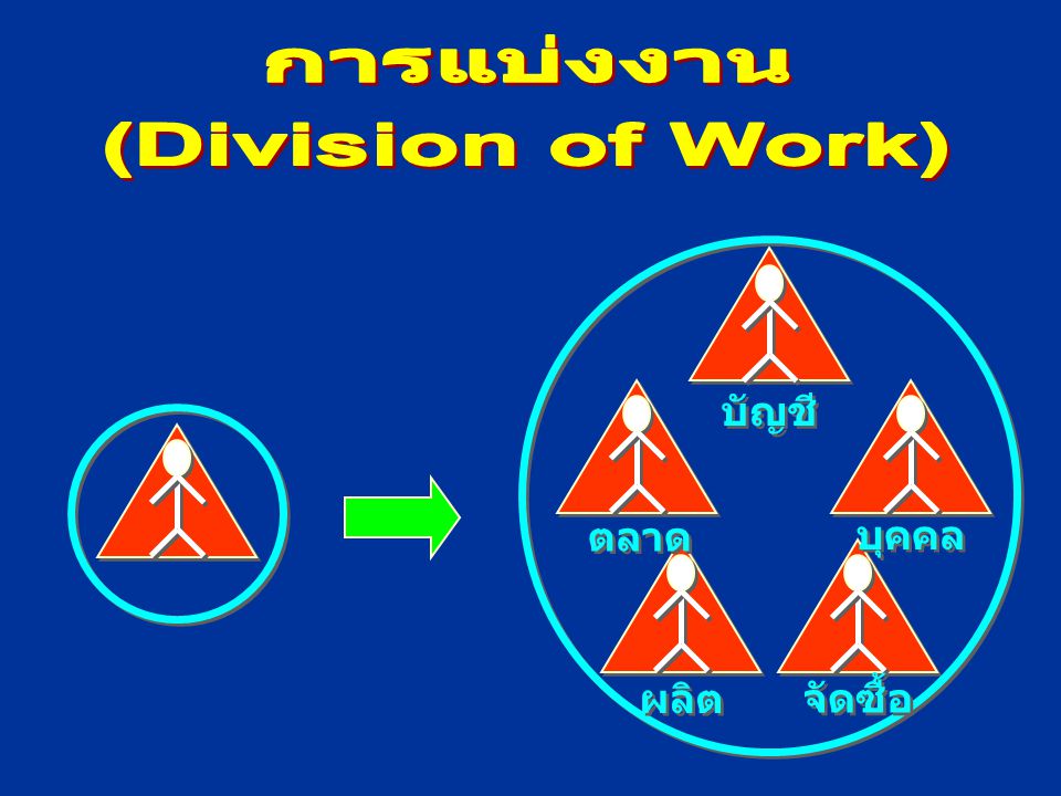 การแบ่งงาน (Division of Work)