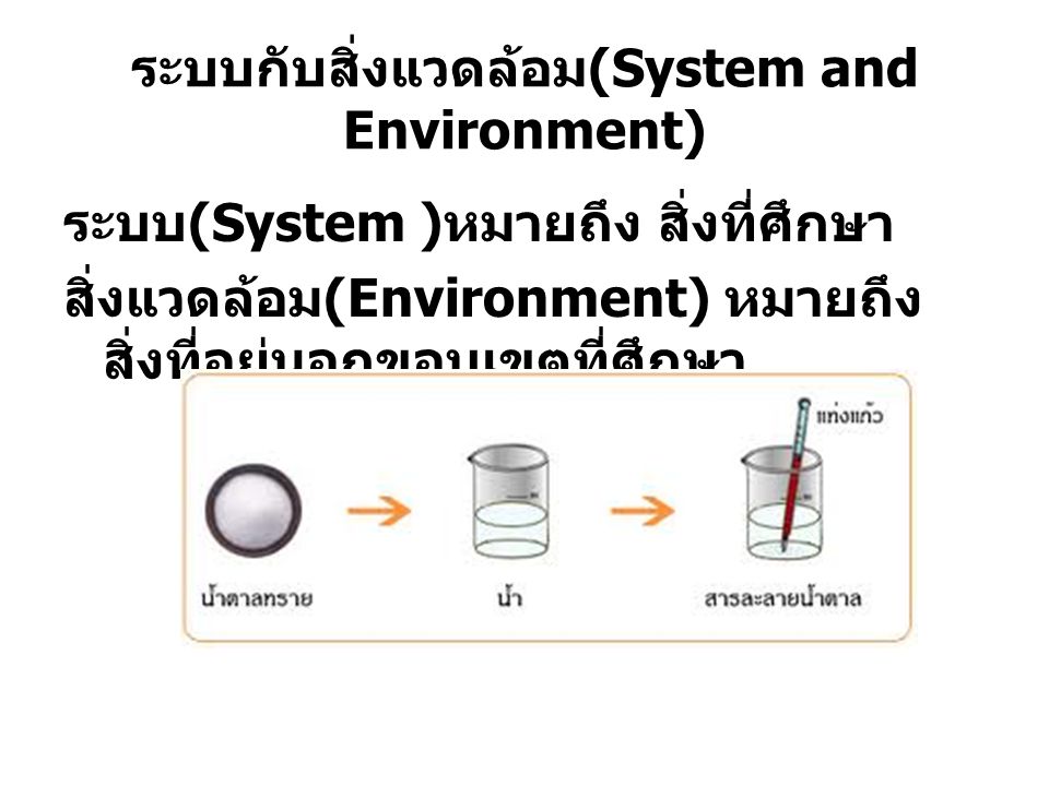 ระบบกับสิ่งแวดล้อม(System and Environment)