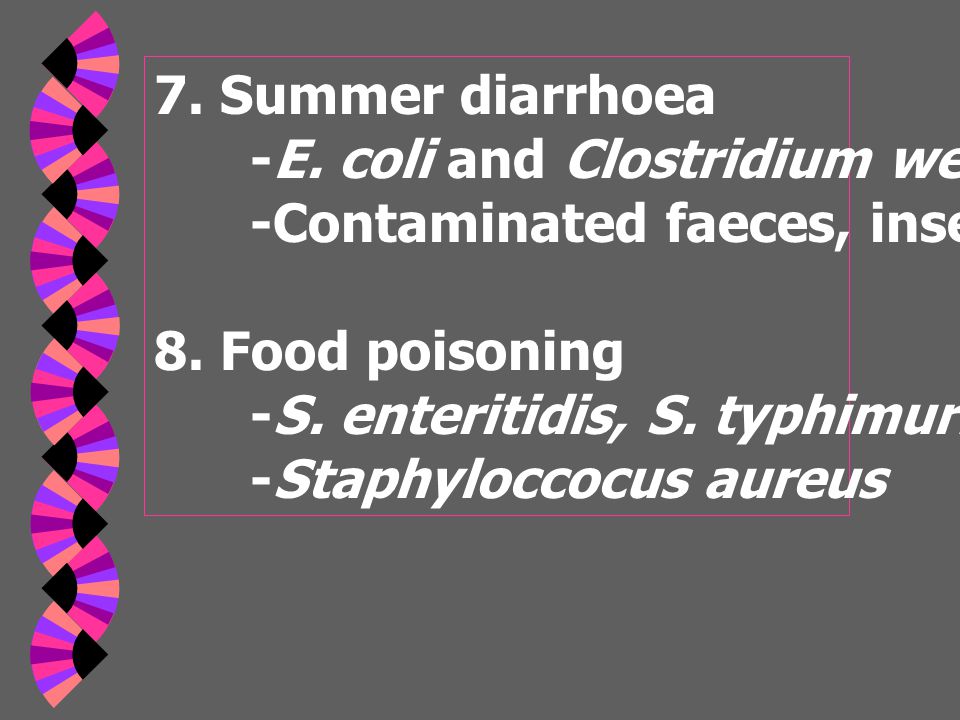 7. Summer diarrhoea -E. coli and Clostridium wellchii. -Contaminated faeces, insects, dust. 8. Food poisoning.