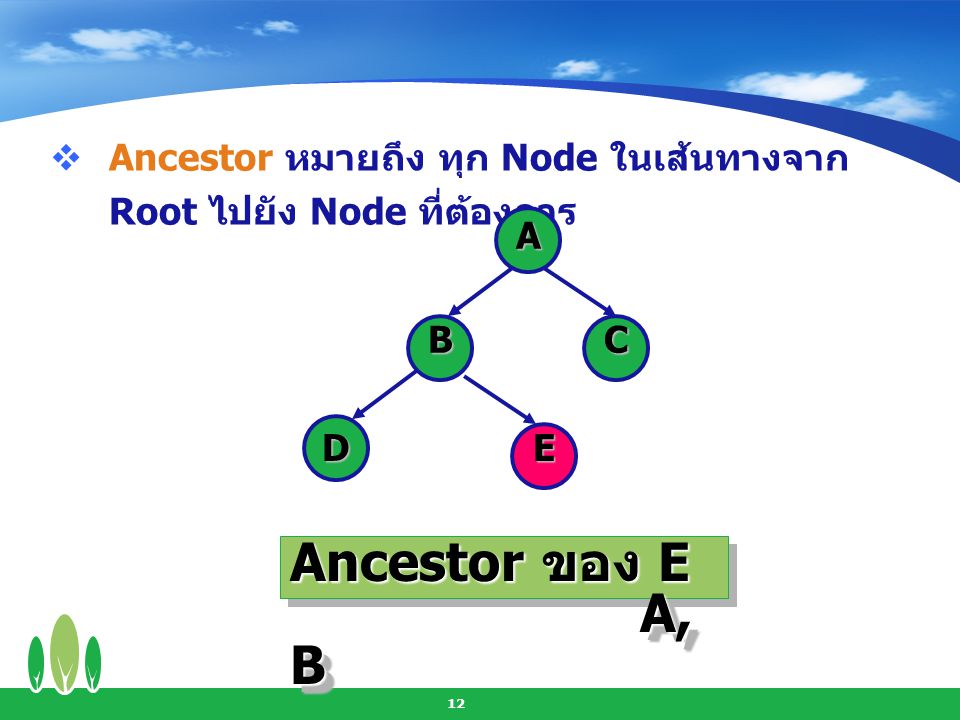 Ancestor หมายถึง ทุก Node ในเส้นทางจาก Root ไปยัง Node ที่ต้องการ