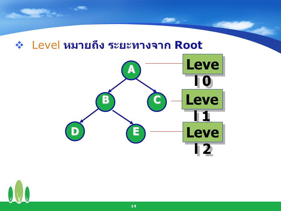 Level หมายถึง ระยะทางจาก Root