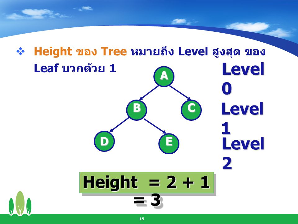 Level 0 Level 1 Level 2 Height = = 3